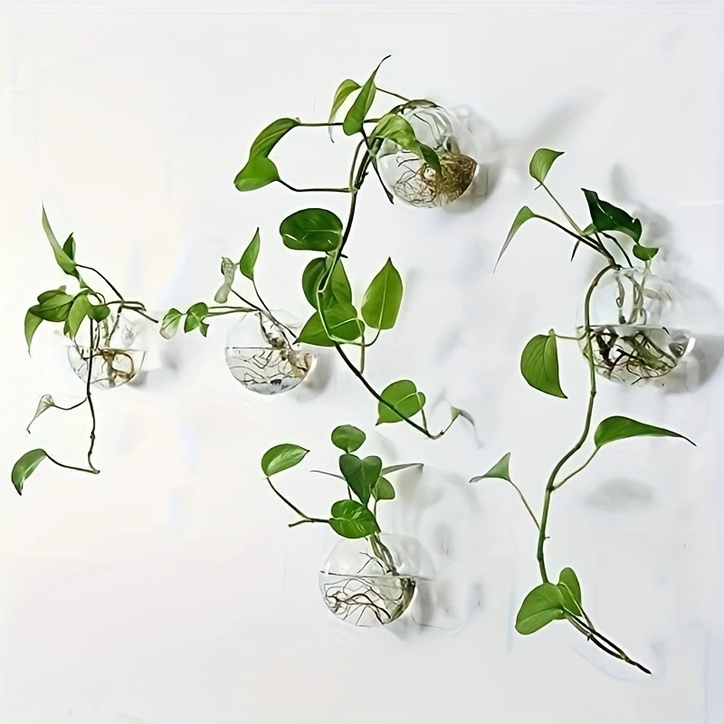 Self-Watering Planter - 2/4/6 قطع من التيراريوم الزجاجي المعلق
