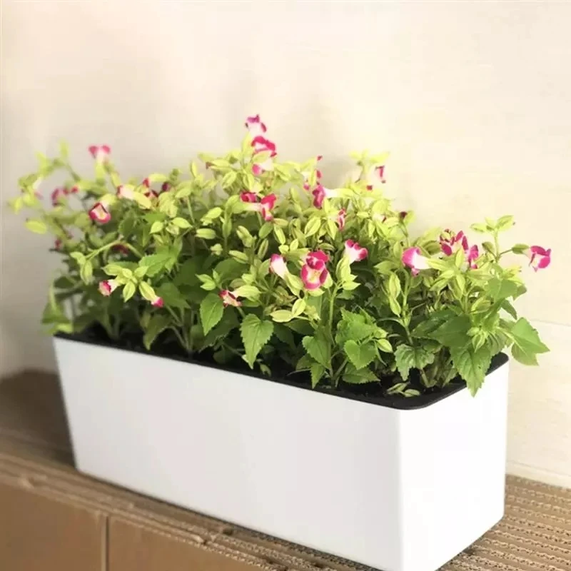 Automatic Plant Waterer - أصيص زهور مستطيل كسول بوعاء زهور