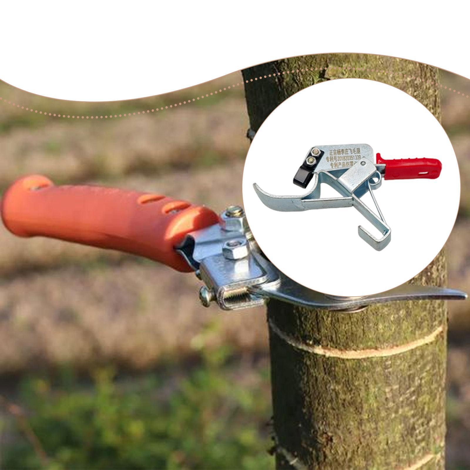 أداة تثبيت جذوع أشجار الفاكهة، - مراجعة Gardening Tools Essential وسعره