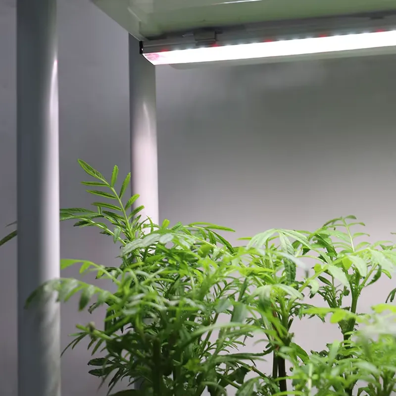 نظام زراعة عمودي متحرك بثلاثة  - مراجعة Self-Watering Planter وسعره