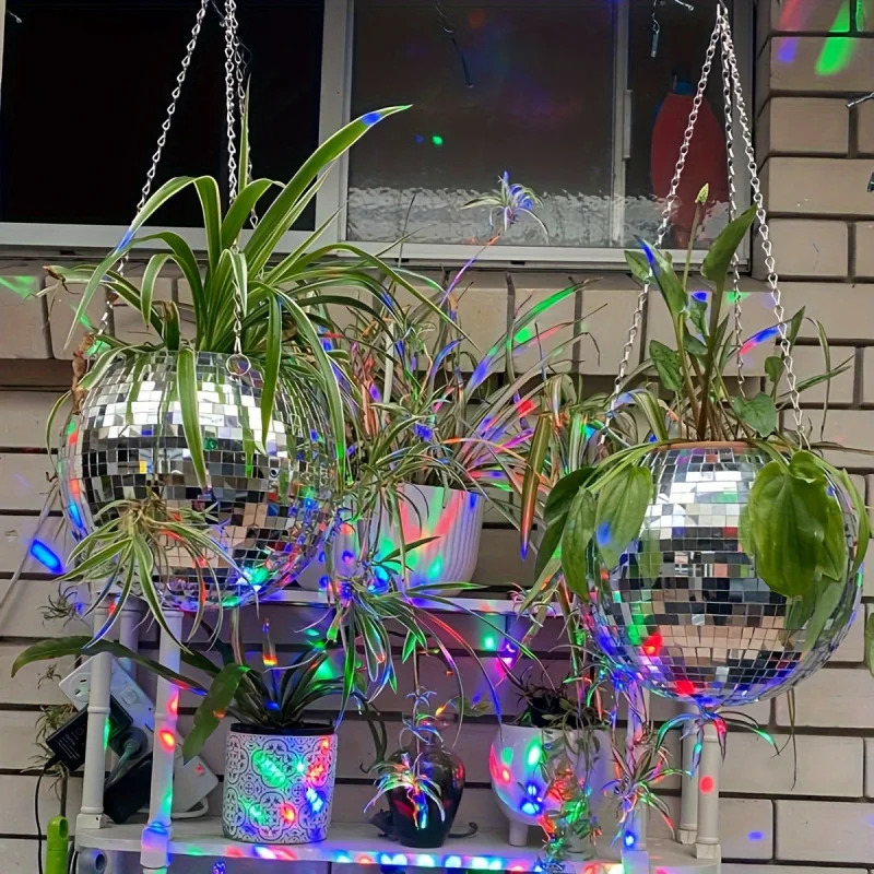 زارع كرات ديسكو مرآة معلقة مست - مراجعة Self-Watering Planter وسعره