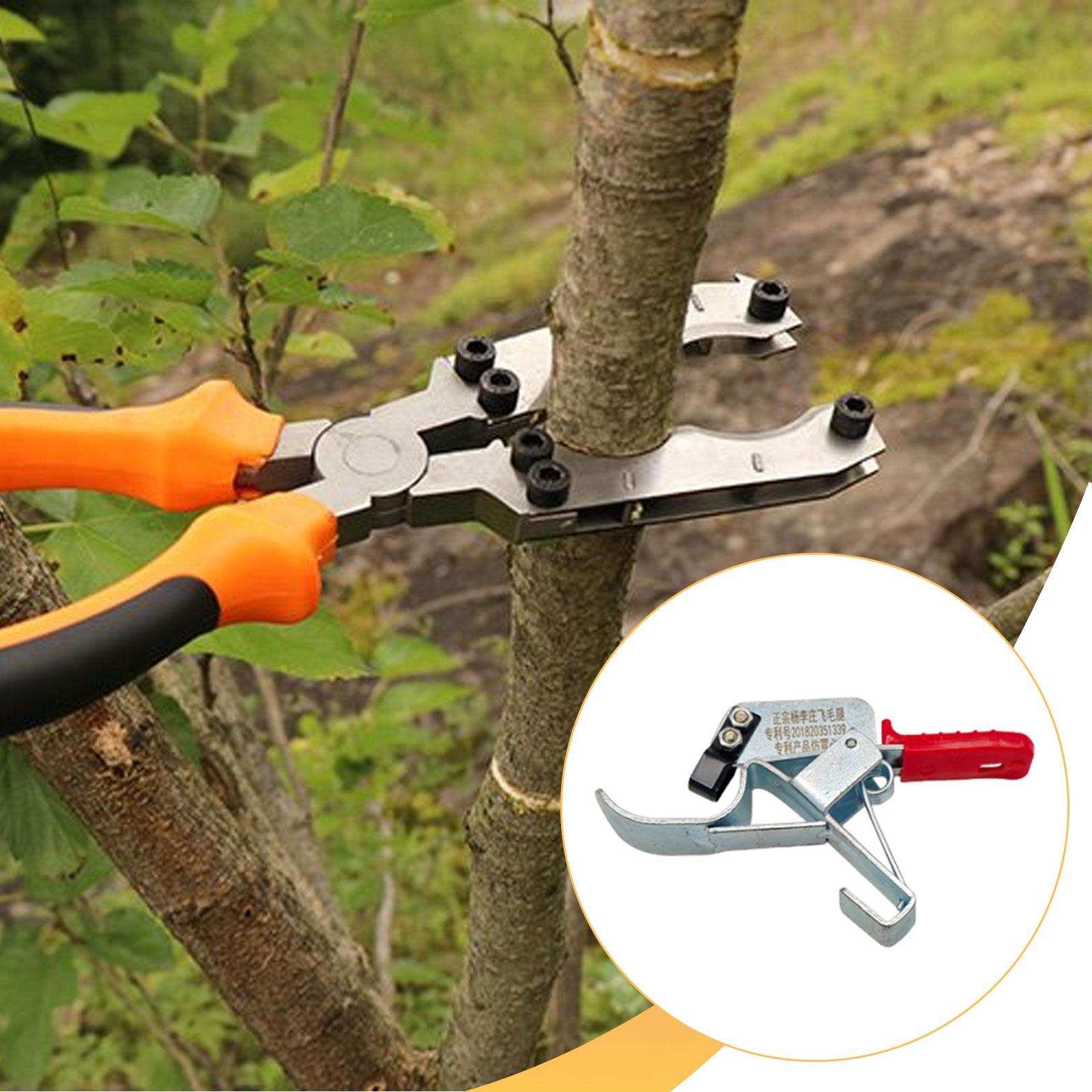 أداة تقويس أشجار الفاكهة، أداة - مراجعة Gardening Tools Essential وسعره