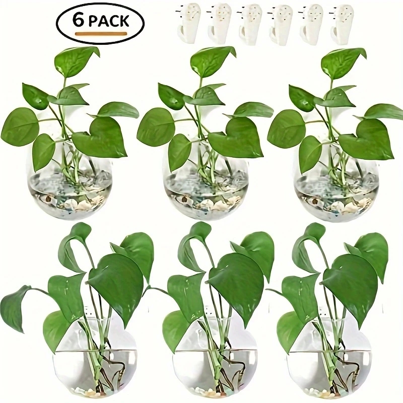 2/4/6 قطع من التيراريوم الزجاج - مراجعة Self-Watering Planter وسعره