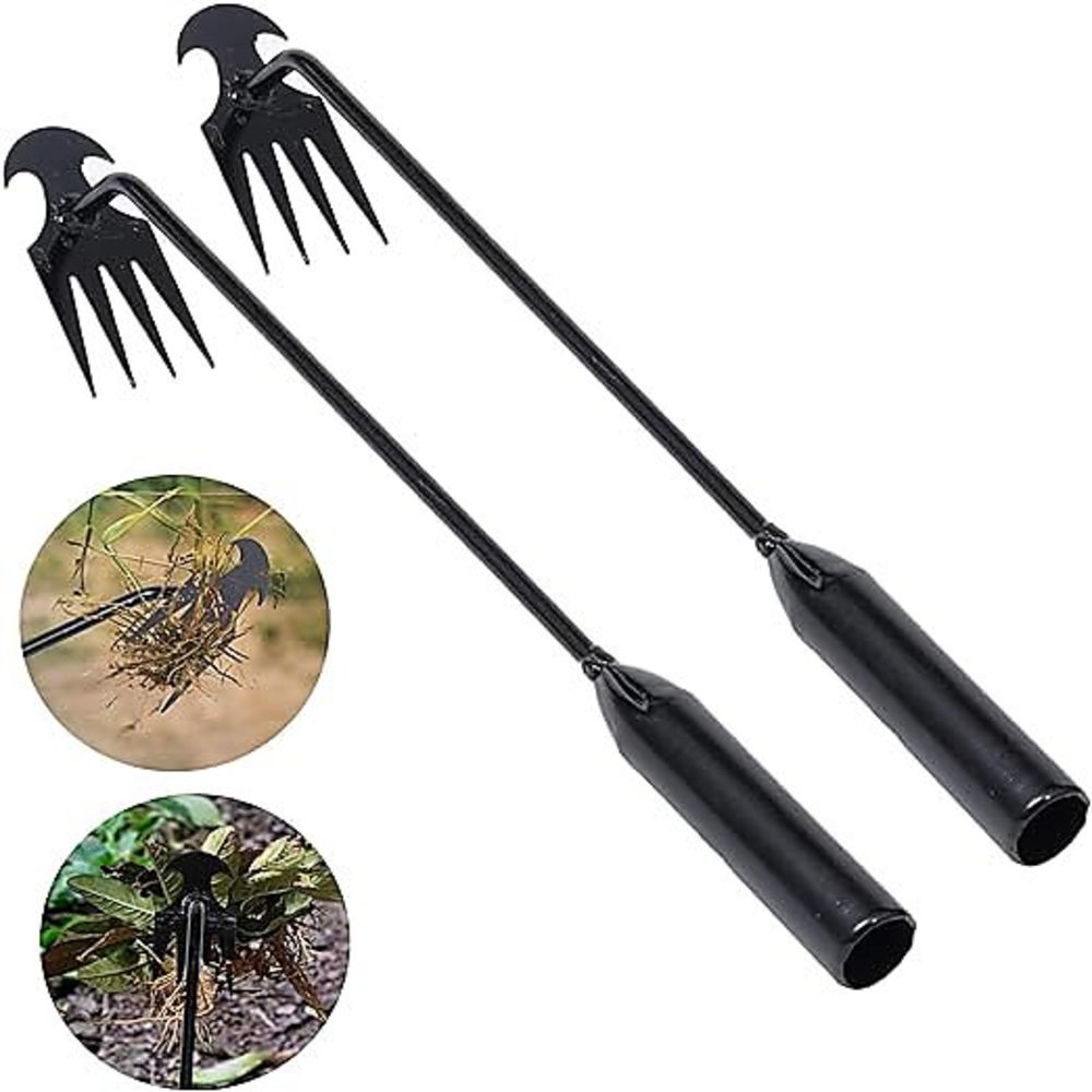 4 أسنان - أداة إزالة الأعشاب ا - مراجعة Gardening Tools Vegetables وسعره