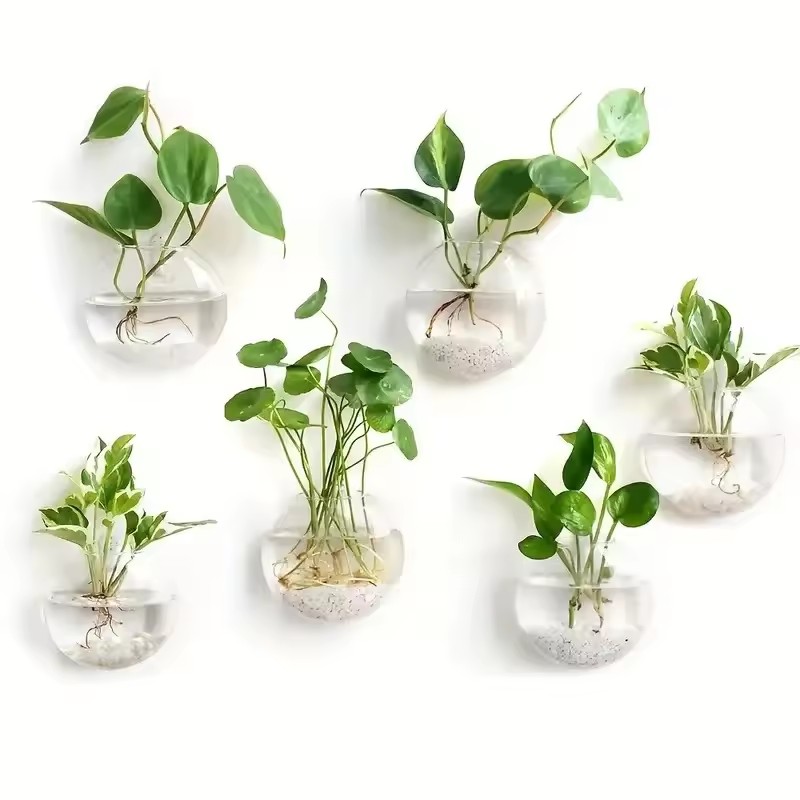 حزمة من 2/4/6 قطع من أحواض الز - مراجعة Self-Watering Planter وسعره