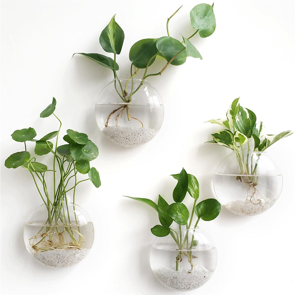 حزمة من 2/4/6 قطع من أحواض الز - مراجعة Self-Watering Planter وسعره