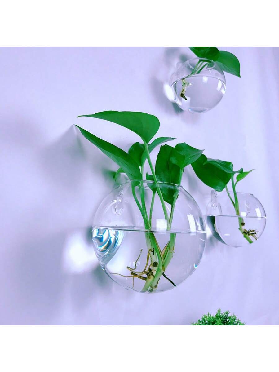 حزمة من 2/4/6 قطع من أحواض الز - مراجعة Self-Watering Planter وسعره