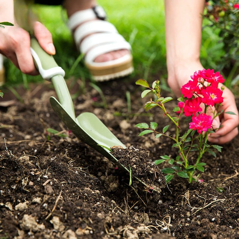 مجرفة صغيرة متينة مع مخالب لزر - مراجعة Spade Digging Fork وسعره