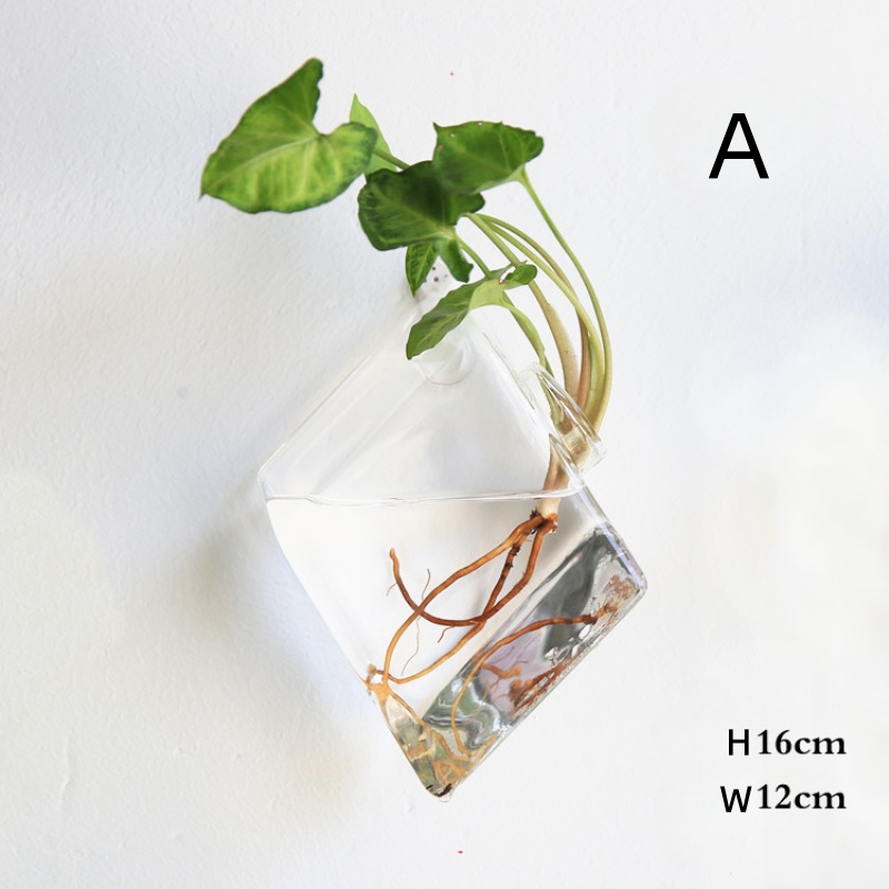 تررم زجاجي معلق على الحائط - ز - مراجعة Self-Watering Planter وسعره