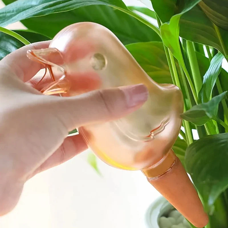 عالية الجودة التلقائي زهرة سقي - مراجعة Automatic Plant Waterer وسعره
